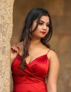 call girl service in Denkanikottai